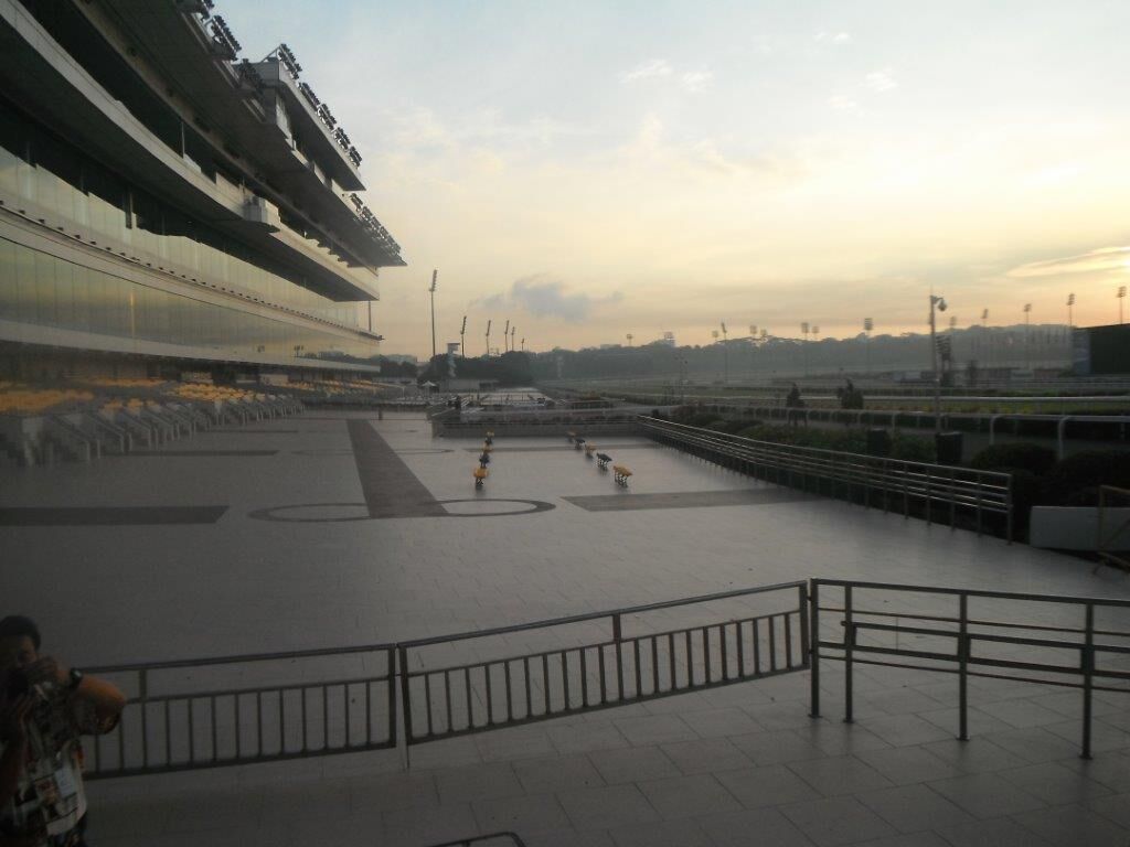 Te Akau Singapore Trackwork