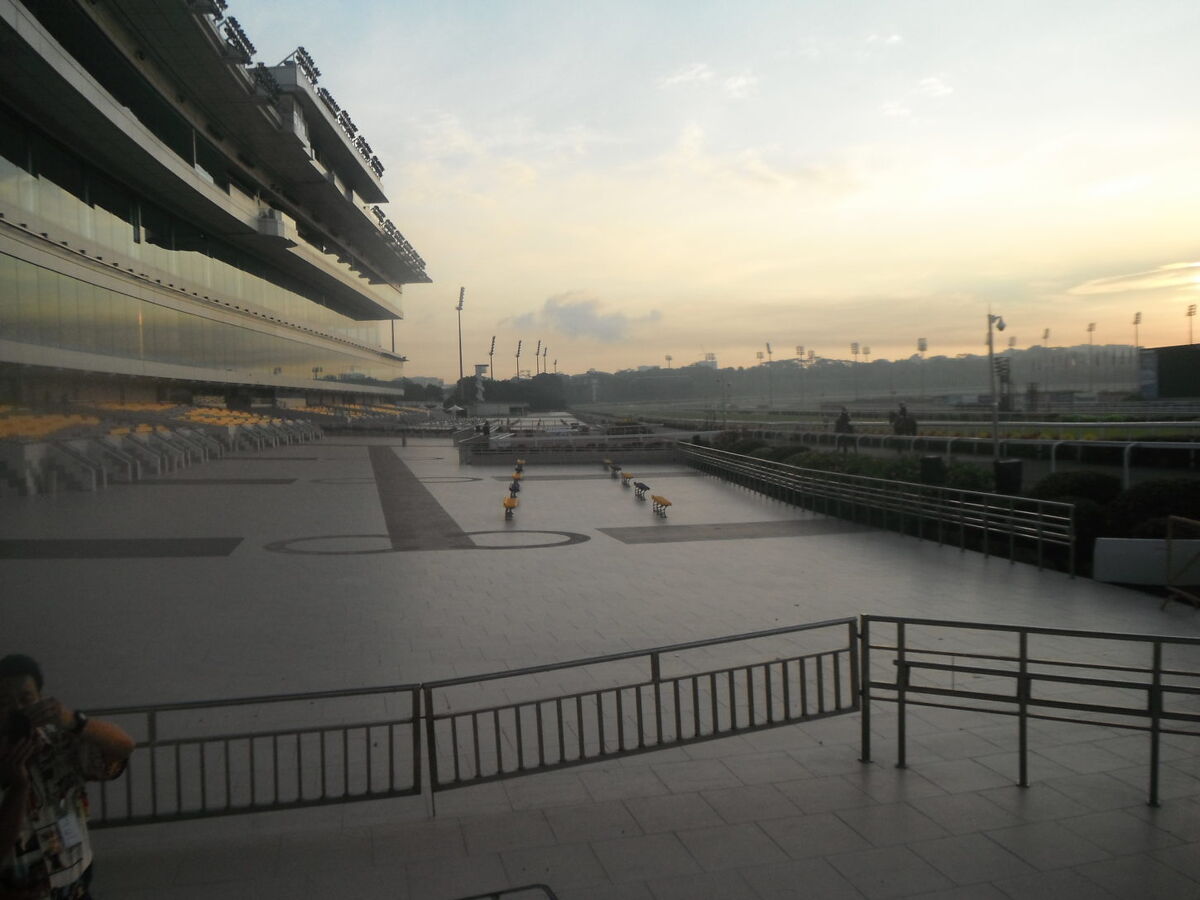 Te Akau Singapore Trackwork Update