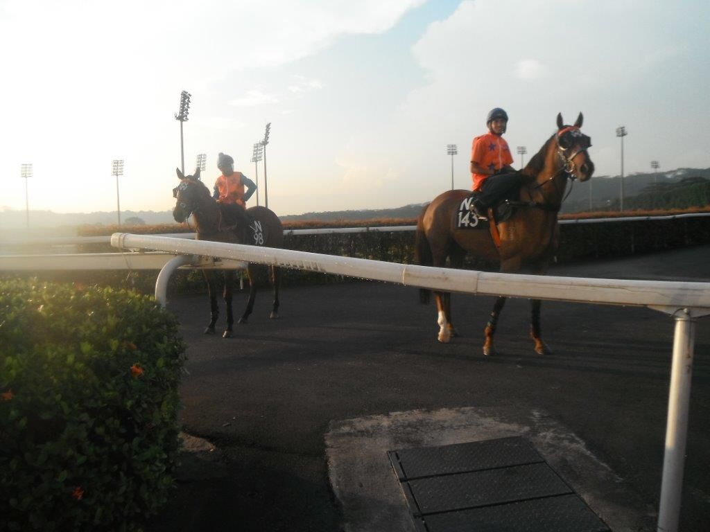 Te Akau Singapore Trackwork