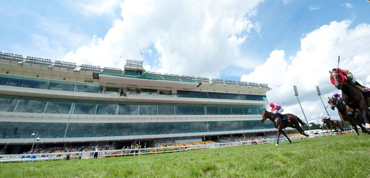 Te Akau Singapore Sunday Preview