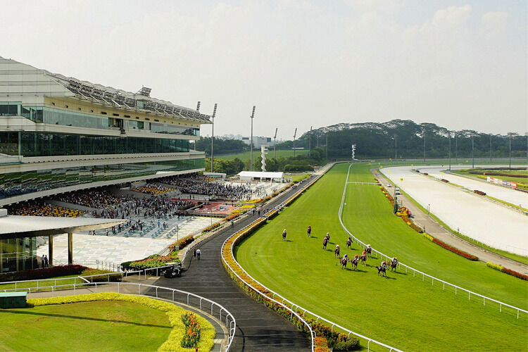 Te Akau Singapore Saturday Preview