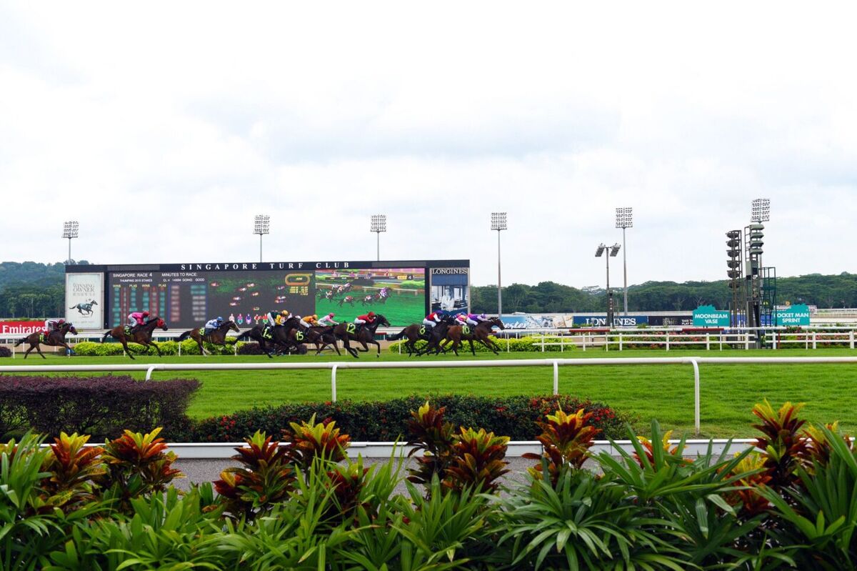 Te Akau Singapore Sunday Preview