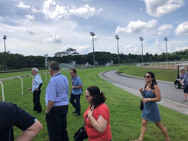 Te Akau Singapore Trackwork Update
