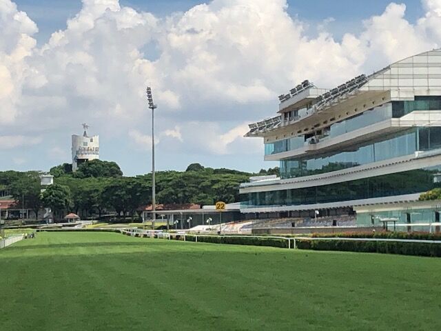 Te Akau Singapore Sunday Preview
