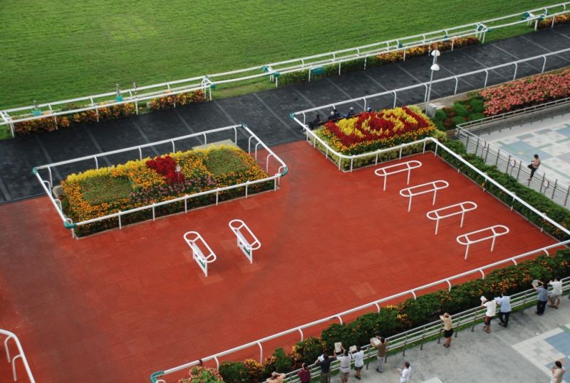 Te Akau Singapore Sunday Preview