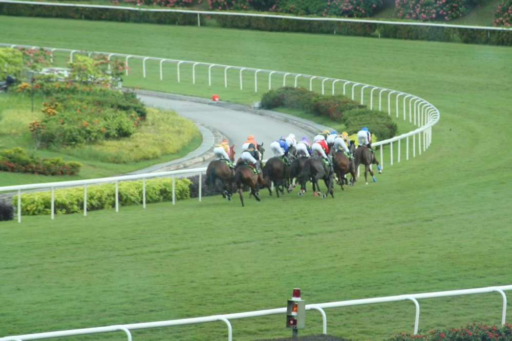 Te Akau Singapore Sunday Preview
