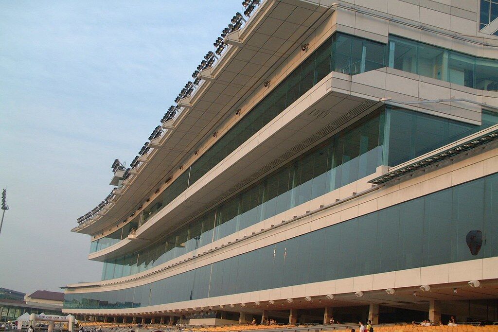 Te Akau Singapore Saturday Preview
