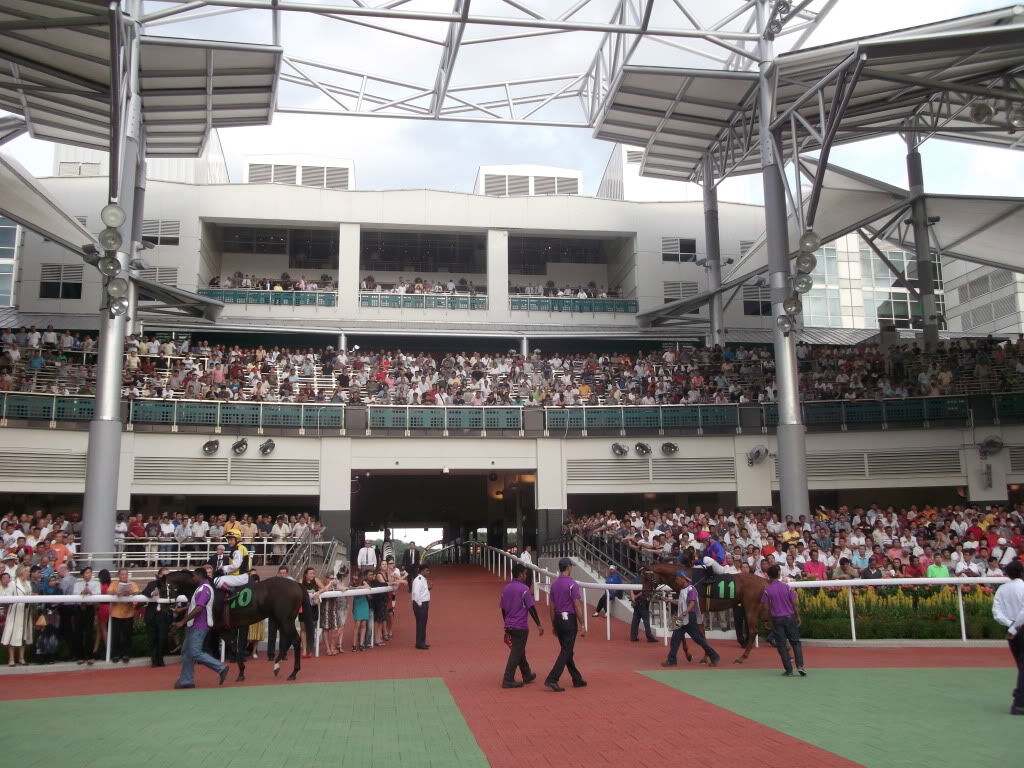 Te Akau Singapore Sunday Preview