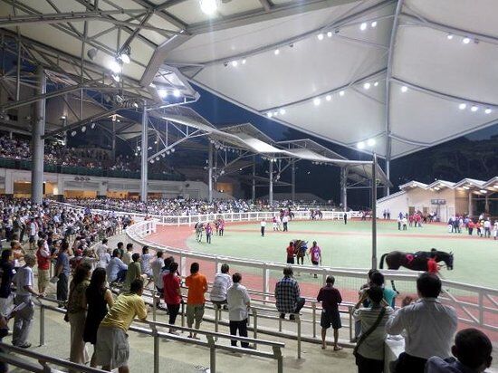 Te Akau Singapore Friday Preview