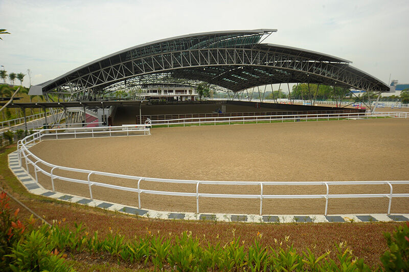 Te Akau Singapore Trackwork Update