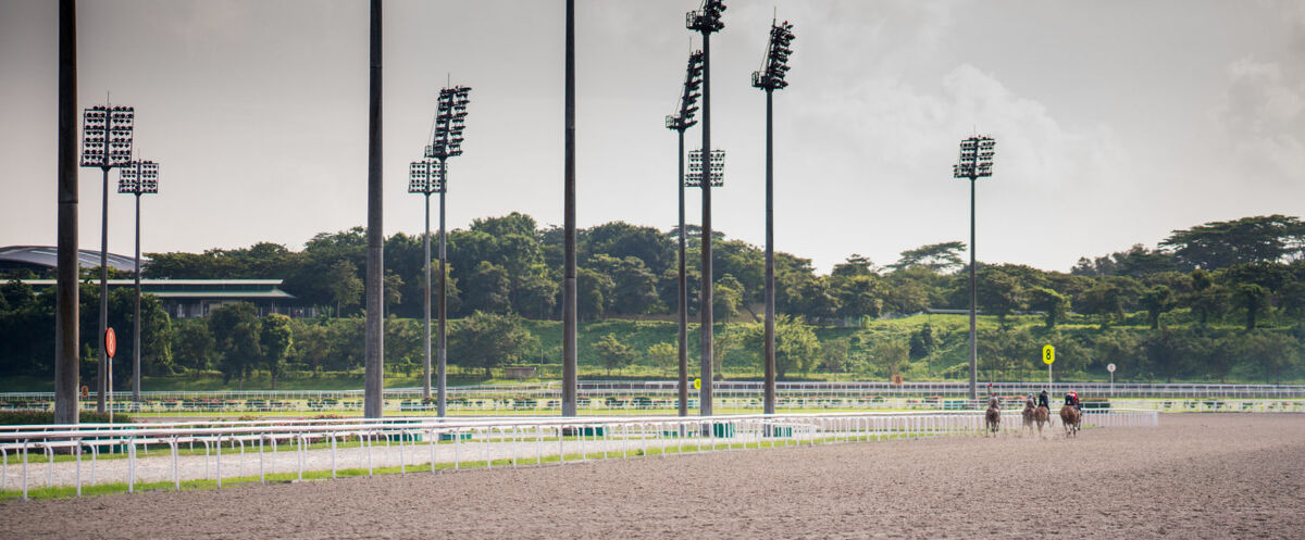 Te Akau Singapore Saturday Preview