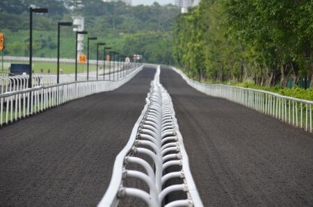 Te Akau Singapore Trackwork Update