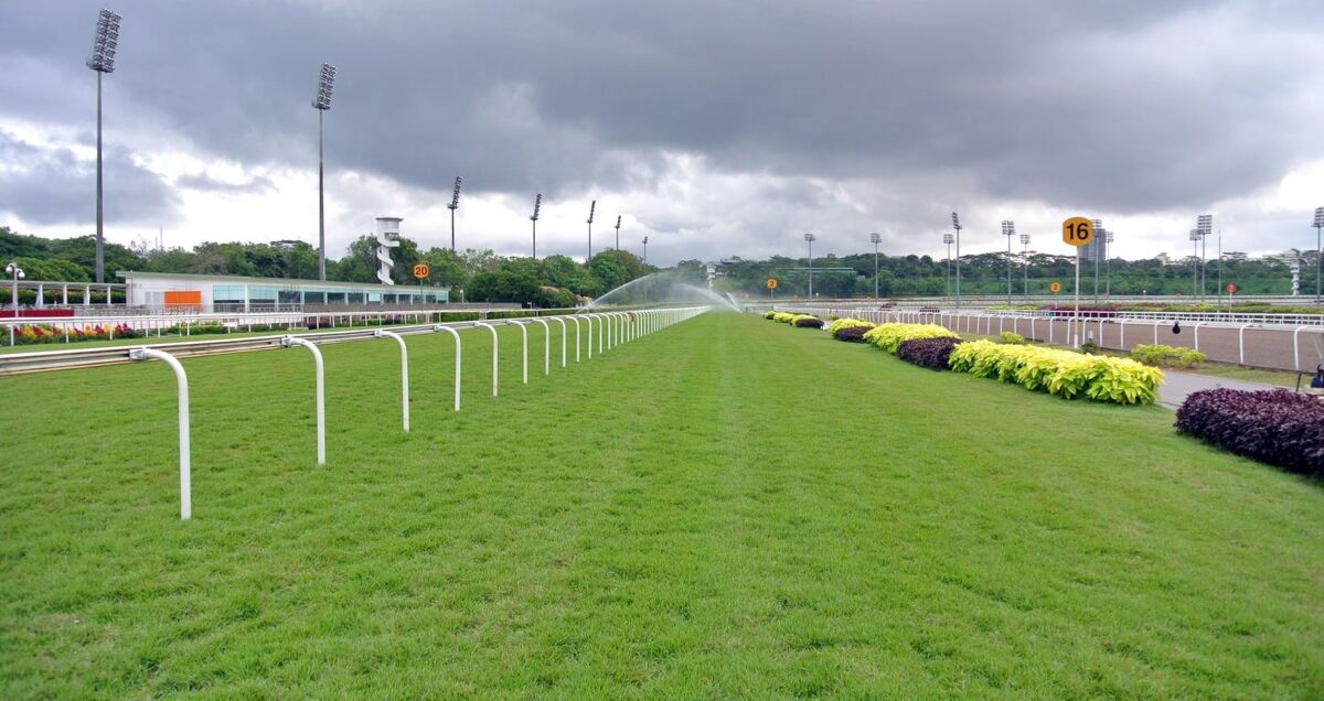 Te Akau Singapore Trackwork