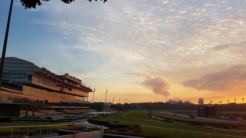 Te Akau Singapore Sunday Preview