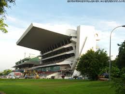 Te Akau Singapore Weekend Trackwork