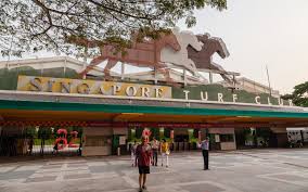 Te Akau Singapore Weekend Preview