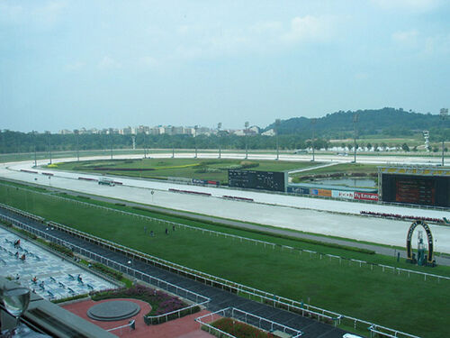 Te Akau Singapore Saturday Preview