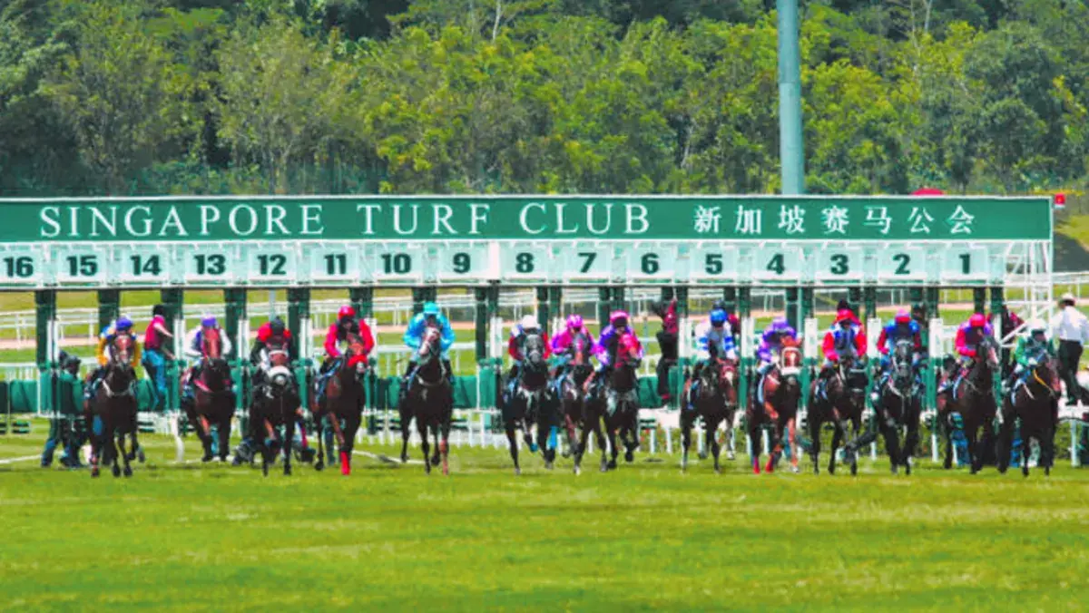 Te Akau Singapore Sunday Preview