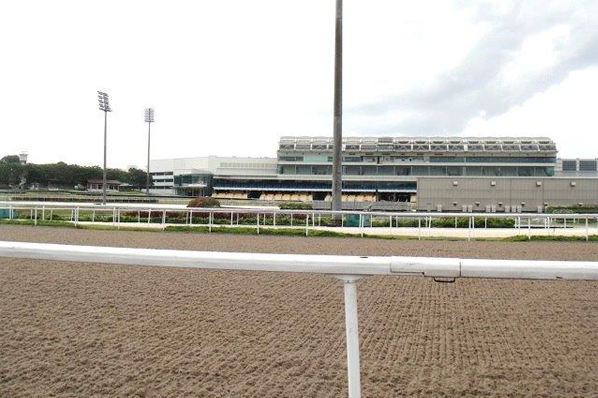 Te Akau Singapore Weekend Trackwork