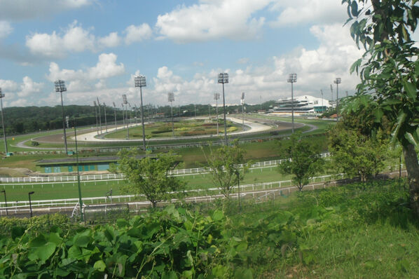 Kranji Trackwork Highlights