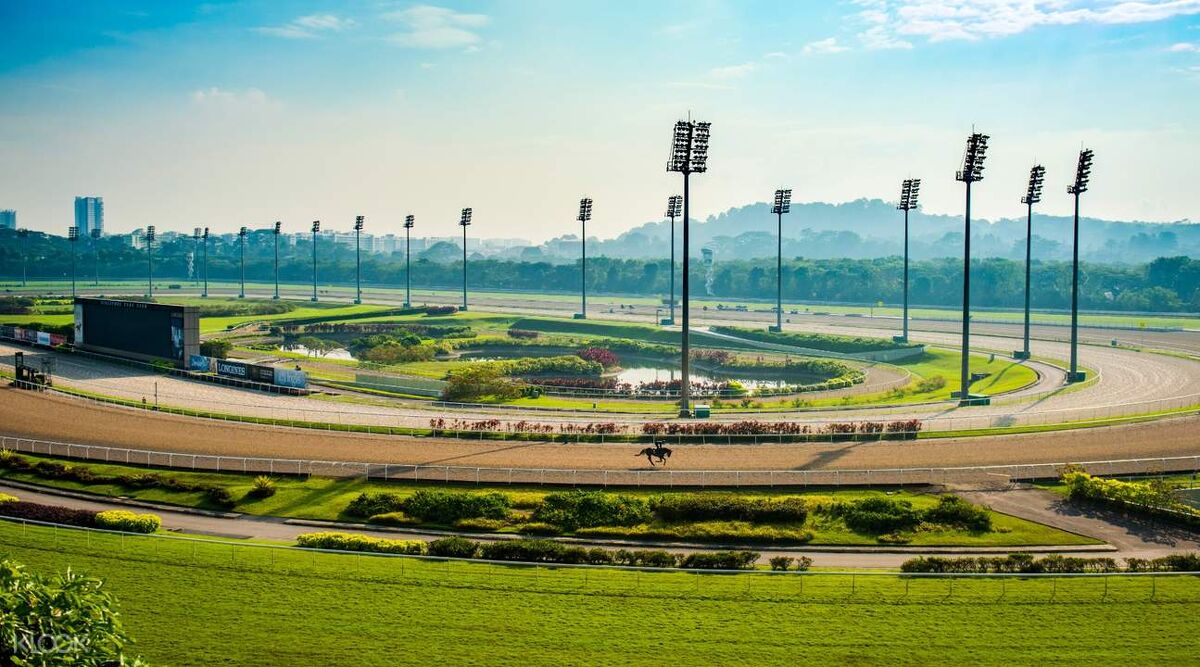 Te Akau Singapore Trackwork Update