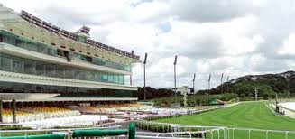 Te Akau Singapore Trackwork