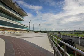 Te Akau Singapore Trackwork Update
