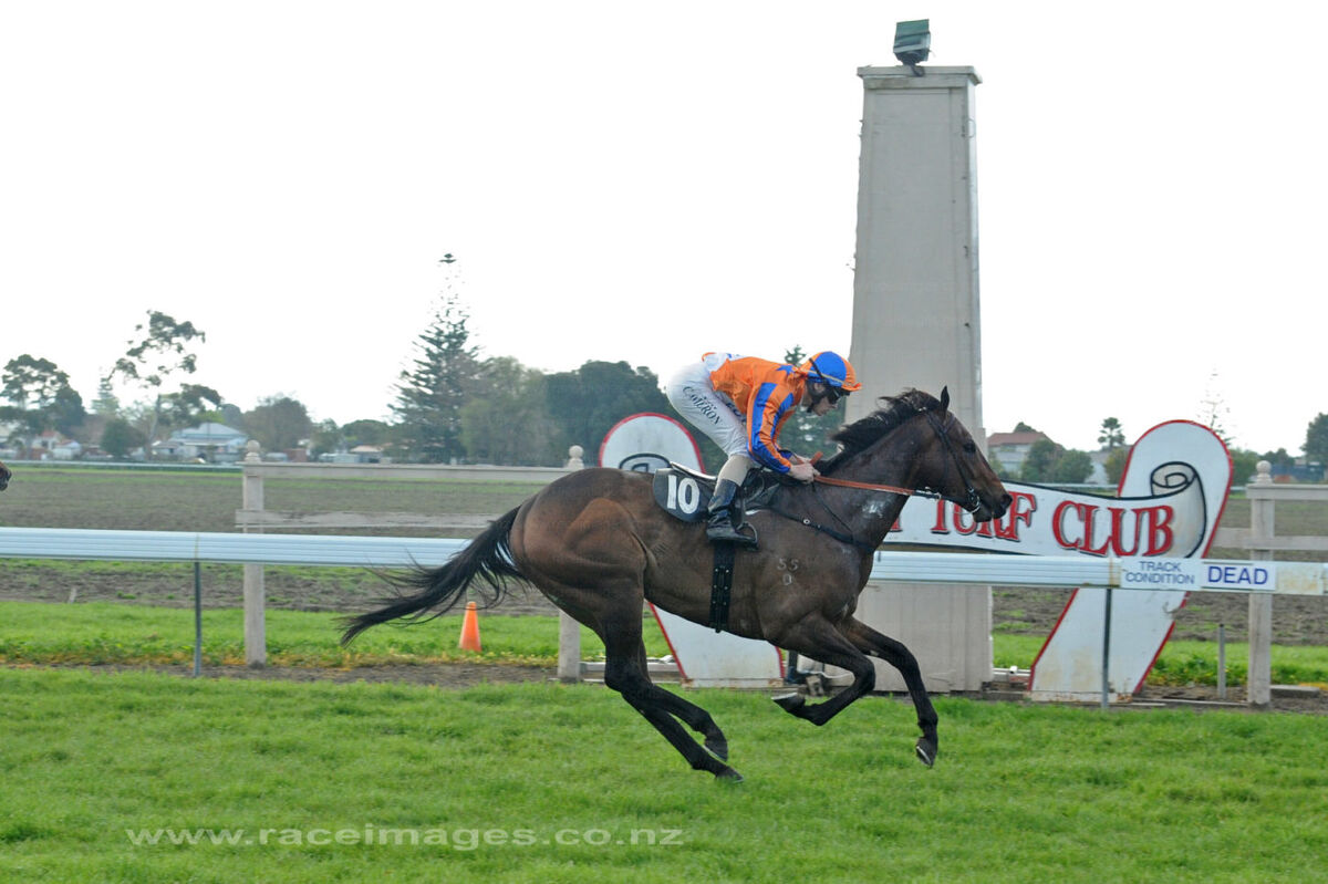 Te Akau Wins 2 at the Bay