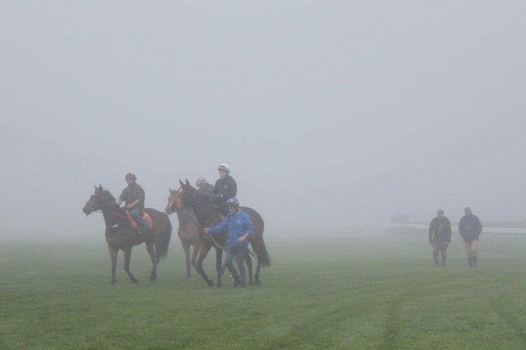 Juvenile Jump Outs