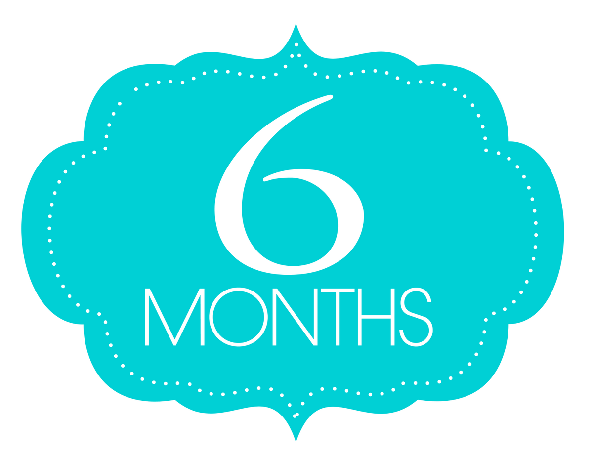 Six Months of Success
