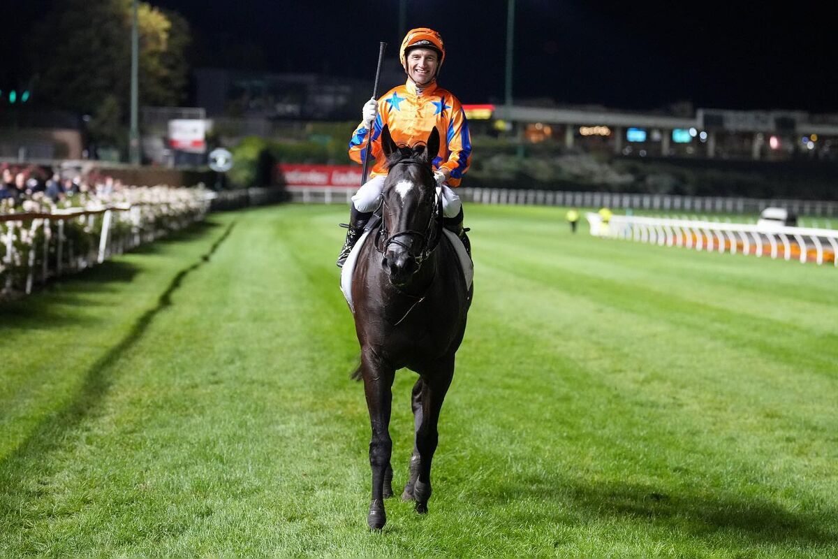 Imperatriz Ready for Raceday Return