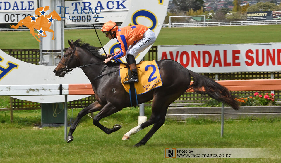 Te Akau Avondale Midweek Preview