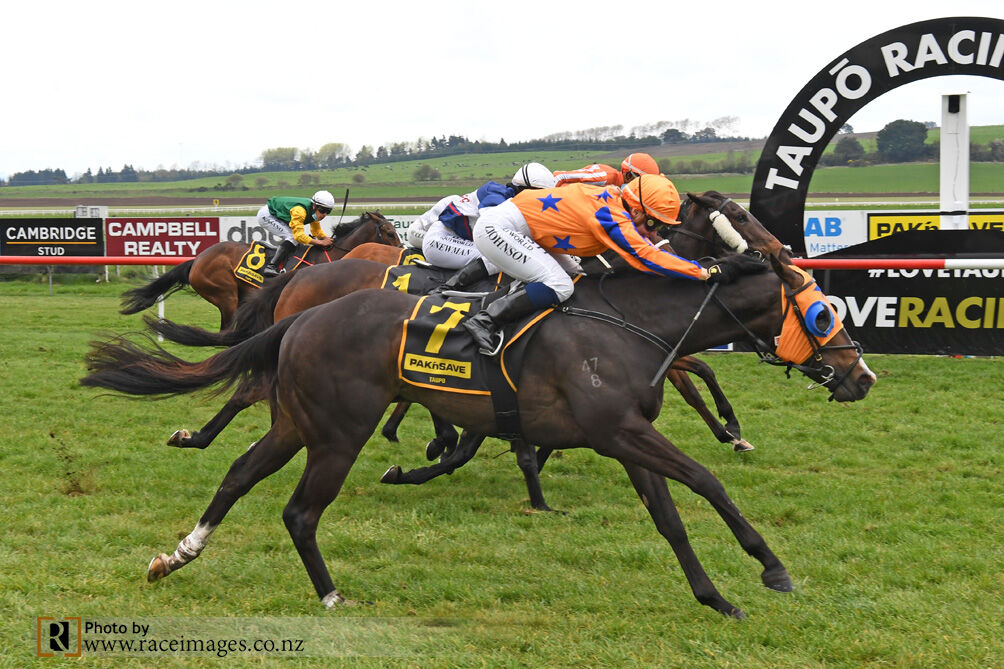 Win 3 Taupo - Sophisticardo Superb