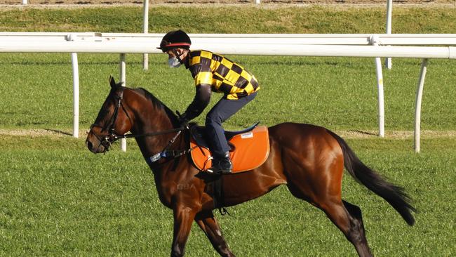 Sword of State Ready for Australian Debut