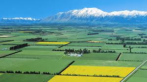 Te Akau Team Leads in the South