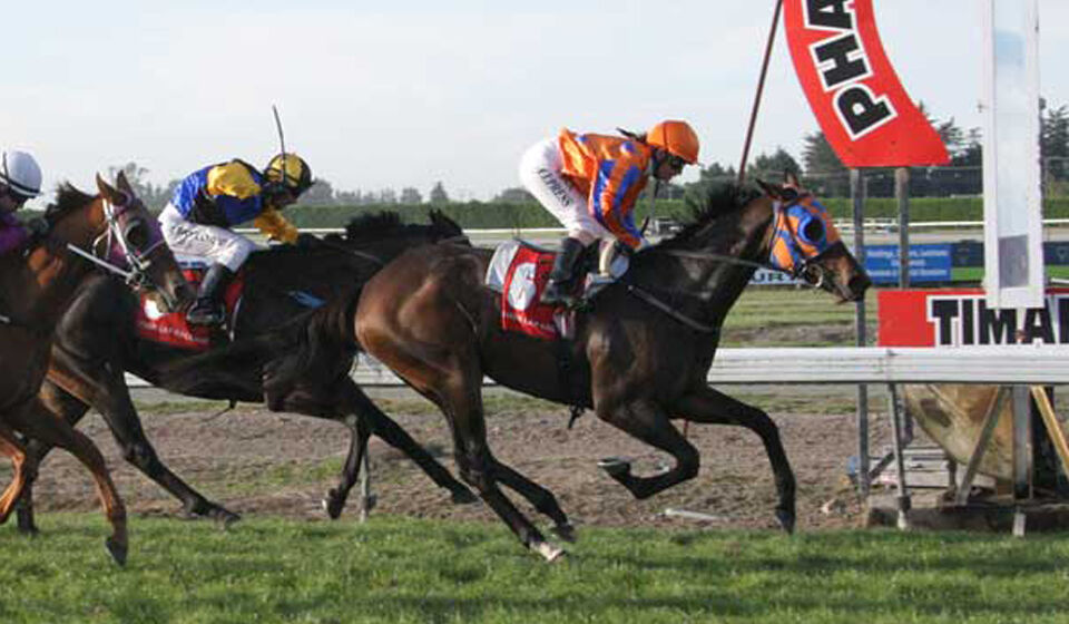 Te Akau: Te Akau NZ Timaru Preview