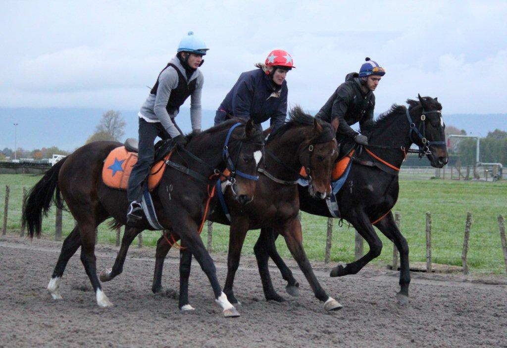 Te Akau Thursday Trackwork