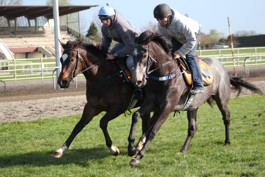 Te Akau NZ Saturday Trackwork