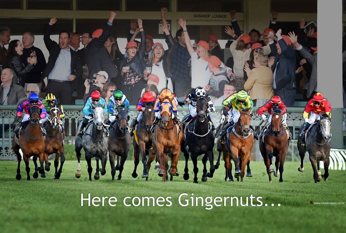 Gingernuts' Army Rides into Town