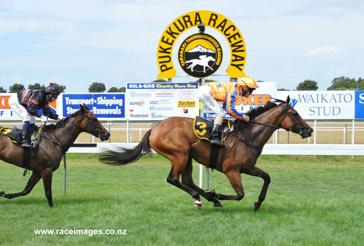Guineas' Prospects at Ashburton