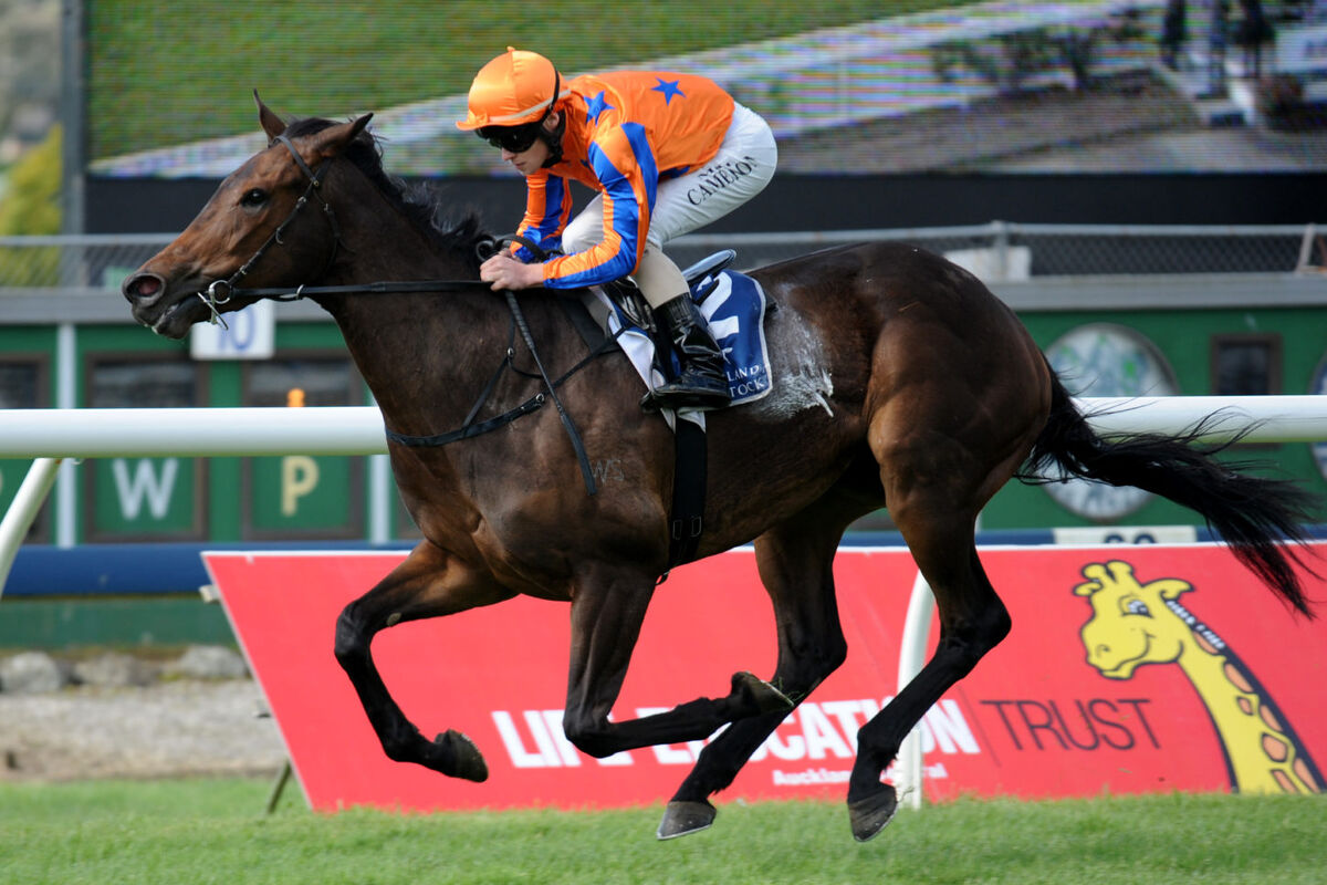 Te Akau Tuesday Update