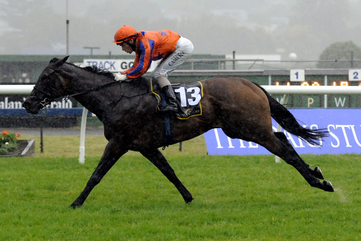 Back to Back Karaka Miles