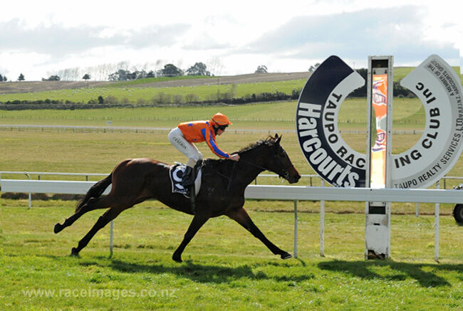 Te Akau Taupo Preview