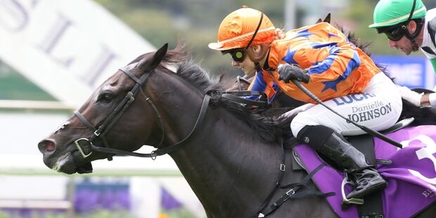 Te Akau TV - Saturday Preview