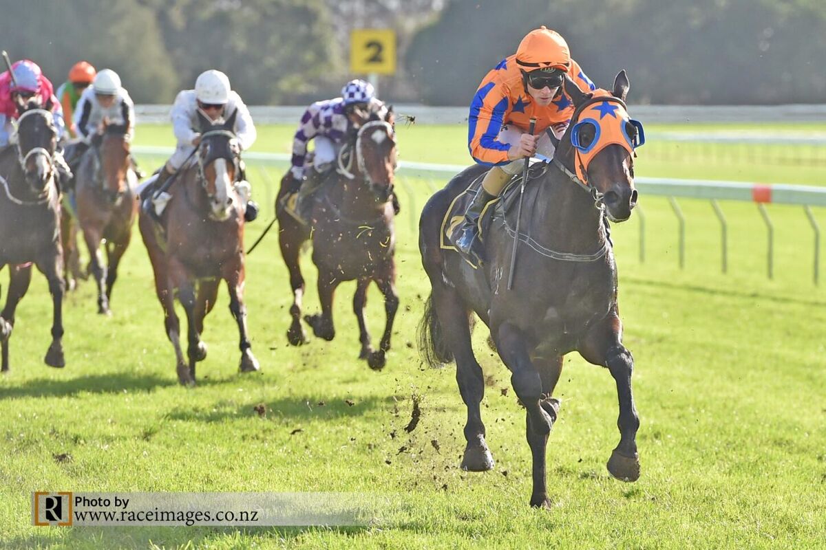 Big Splash by Splurge - Win 103