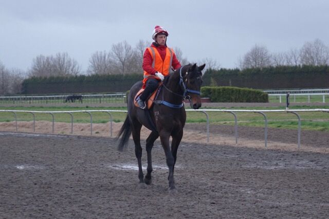 Te Akau Tuesday Trackwork