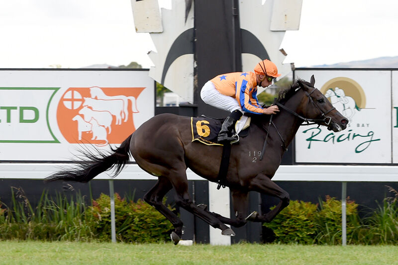 Hastings Double - Splurge Splashes Out