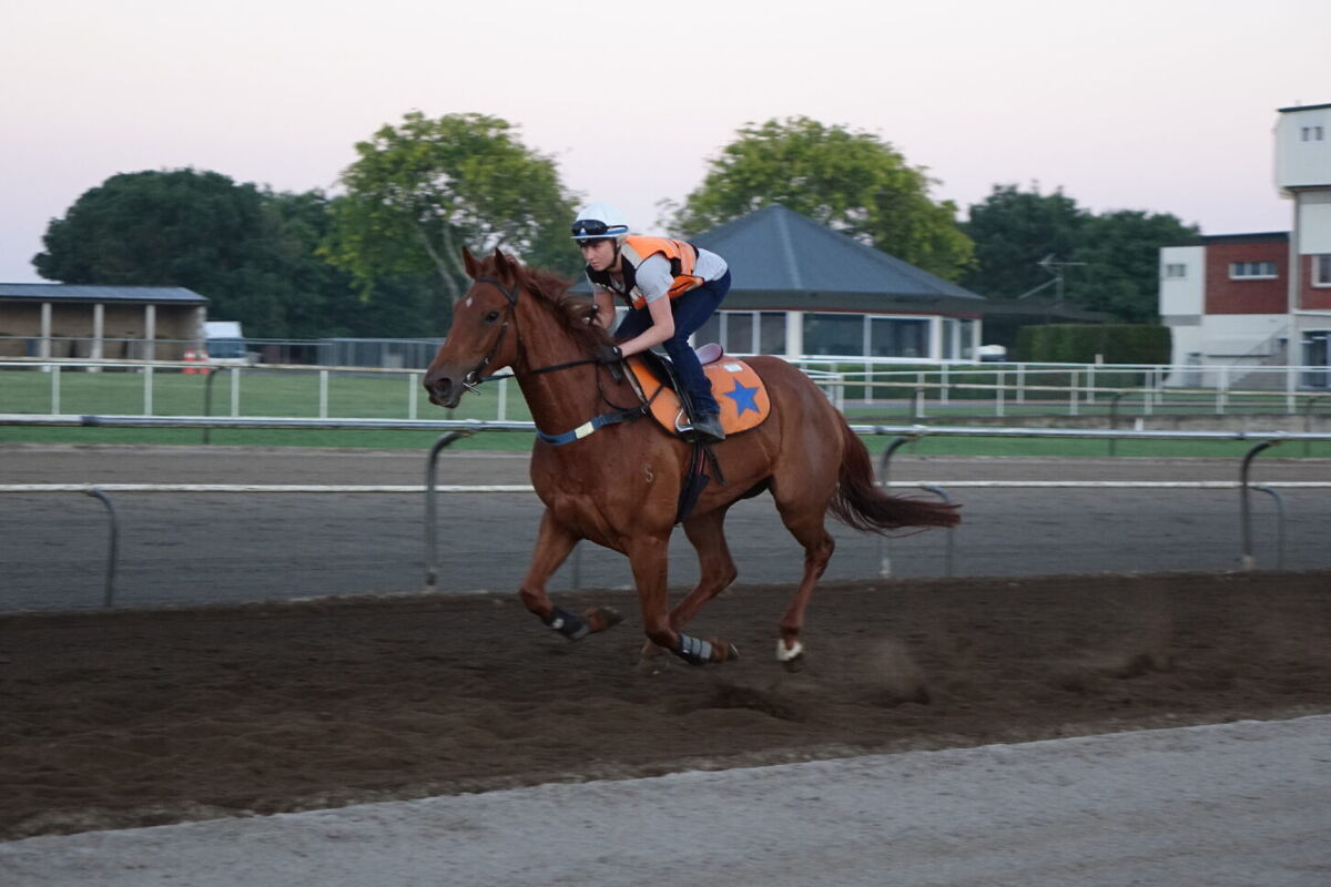 Te Akau Tuesday Trackwork