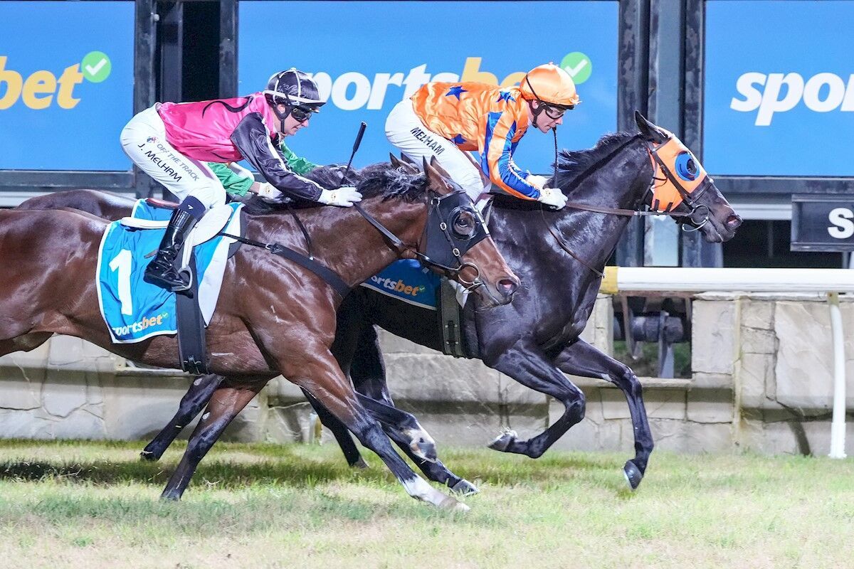 Te Akau Trans Tasman Friday Preview