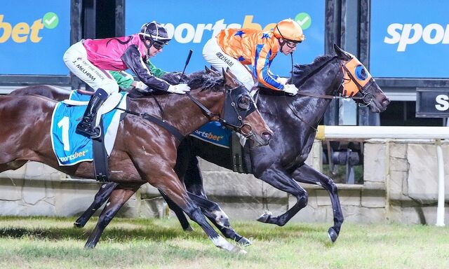 Te Akau Trans Tasman Friday Preview